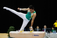 Thumbnail - Jose Caballero - Artistic Gymnastics - 2019 - Austrian Future Cup - Participants - Australia 02036_07567.jpg