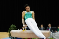 Thumbnail - Jose Caballero - Gymnastique Artistique - 2019 - Austrian Future Cup - Participants - Australia 02036_07576.jpg