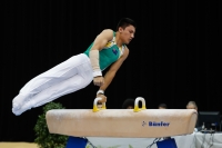 Thumbnail - Jose Caballero - Gymnastique Artistique - 2019 - Austrian Future Cup - Participants - Australia 02036_07588.jpg