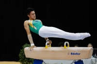 Thumbnail - Jose Caballero - Artistic Gymnastics - 2019 - Austrian Future Cup - Participants - Australia 02036_07591.jpg
