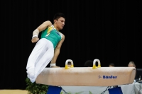 Thumbnail - Jose Caballero - Artistic Gymnastics - 2019 - Austrian Future Cup - Participants - Australia 02036_07592.jpg