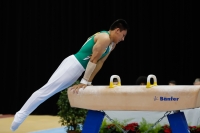 Thumbnail - Jose Caballero - Artistic Gymnastics - 2019 - Austrian Future Cup - Participants - Australia 02036_07595.jpg