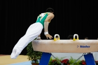 Thumbnail - Jose Caballero - Спортивная гимнастика - 2019 - Austrian Future Cup - Participants - Australia 02036_07597.jpg