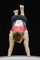 Thumbnail - Netherlands - Ginnastica Artistica - 2019 - Austrian Future Cup - Participants 02036_07608.jpg