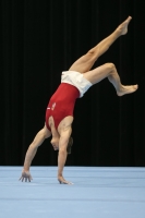 Thumbnail - Sebestyen Markus - Gymnastique Artistique - 2019 - Austrian Future Cup - Participants - Hungary 02036_08197.jpg