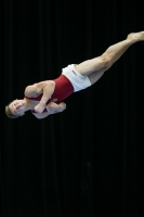 Thumbnail - Sebestyen Markus - Gymnastique Artistique - 2019 - Austrian Future Cup - Participants - Hungary 02036_08202.jpg