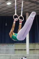 Thumbnail - Jose Caballero - Artistic Gymnastics - 2019 - Austrian Future Cup - Participants - Australia 02036_08554.jpg