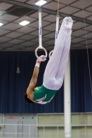 Thumbnail - Jose Caballero - Спортивная гимнастика - 2019 - Austrian Future Cup - Participants - Australia 02036_08555.jpg