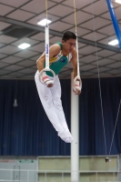 Thumbnail - Jose Caballero - Artistic Gymnastics - 2019 - Austrian Future Cup - Participants - Australia 02036_08558.jpg