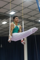 Thumbnail - Jose Caballero - Gymnastique Artistique - 2019 - Austrian Future Cup - Participants - Australia 02036_08561.jpg