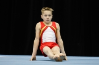 Thumbnail - Luc Löwe - Спортивная гимнастика - 2019 - Austrian Future Cup - Participants - Germany 02036_08913.jpg