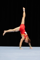 Thumbnail - Finn Czach - Artistic Gymnastics - 2019 - Austrian Future Cup - Participants - Germany 02036_09132.jpg