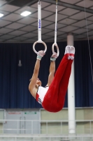 Thumbnail - Tirol - Laurin Zambelis - Artistic Gymnastics - 2019 - Austrian Future Cup - Participants - Austria 02036_09241.jpg