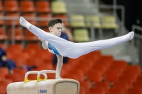 Thumbnail - Manchester - Joseph Feery - Artistic Gymnastics - 2019 - Austrian Future Cup - Participants - Great Britain 02036_09417.jpg