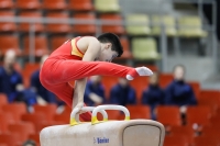 Thumbnail - Mert Öztürk - Artistic Gymnastics - 2019 - Austrian Future Cup - Participants - Germany 02036_09818.jpg