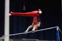 Thumbnail - Netherlands - Artistic Gymnastics - 2019 - Austrian Future Cup - Participants 02036_09926.jpg