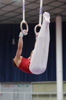Thumbnail - Sebestyen Markus - Gymnastique Artistique - 2019 - Austrian Future Cup - Participants - Hungary 02036_10161.jpg