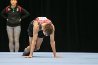 Thumbnail - Mitchel De Haas - Artistic Gymnastics - 2019 - Austrian Future Cup - Participants - Netherlands 02036_10789.jpg