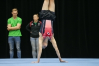 Thumbnail - Mitchel De Haas - Artistic Gymnastics - 2019 - Austrian Future Cup - Participants - Netherlands 02036_10790.jpg