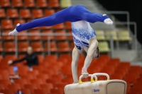Thumbnail - Team 2 - Jouni Paavola - Gymnastique Artistique - 2019 - Austrian Future Cup - Participants - Finland 02036_10846.jpg
