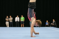 Thumbnail - Bram Van Gemert - Спортивная гимнастика - 2019 - Austrian Future Cup - Participants - Netherlands 02036_10875.jpg