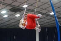 Thumbnail - Finn Czach - Спортивная гимнастика - 2019 - Austrian Future Cup - Participants - Germany 02036_10904.jpg