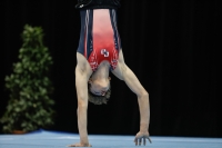 Thumbnail - Netherlands - Спортивная гимнастика - 2019 - Austrian Future Cup - Participants 02036_10943.jpg