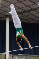 Thumbnail - Jose Caballero - Gymnastique Artistique - 2019 - Austrian Future Cup - Participants - Australia 02036_11261.jpg