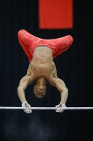 Thumbnail - Newport - Raekwon Baptiste - Gymnastique Artistique - 2019 - Austrian Future Cup - Participants - Great Britain 02036_11537.jpg