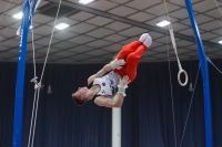 Thumbnail - Eliah Beckenbach - Gymnastique Artistique - 2019 - Austrian Future Cup - Participants - Germany 02036_12421.jpg