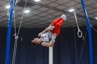 Thumbnail - Eliah Beckenbach - Ginnastica Artistica - 2019 - Austrian Future Cup - Participants - Germany 02036_12421.jpg