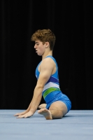 Thumbnail - Slovenia - Artistic Gymnastics - 2019 - Austrian Future Cup - Participants 02036_13707.jpg