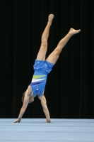 Thumbnail - Slovenia - Gymnastique Artistique - 2019 - Austrian Future Cup - Participants 02036_13726.jpg