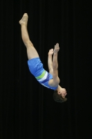 Thumbnail - Slovenia - Gymnastique Artistique - 2019 - Austrian Future Cup - Participants 02036_13730.jpg