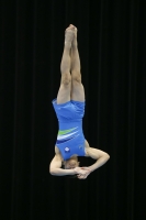 Thumbnail - Slovenia - Gymnastique Artistique - 2019 - Austrian Future Cup - Participants 02036_14038.jpg