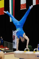 Thumbnail - Gregor Turk - Спортивная гимнастика - 2019 - Austrian Future Cup - Participants - Slovenia 02036_14522.jpg