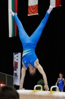 Thumbnail - Gregor Turk - Artistic Gymnastics - 2019 - Austrian Future Cup - Participants - Slovenia 02036_14526.jpg