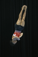 Thumbnail - South - Issa Kalfon - Gymnastique Artistique - 2019 - Austrian Future Cup - Participants - Great Britain 02036_15396.jpg