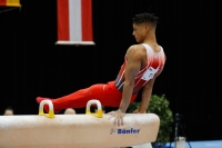 Thumbnail - South - Issa Kalfon - Спортивная гимнастика - 2019 - Austrian Future Cup - Participants - Great Britain 02036_15927.jpg
