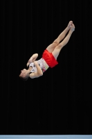 Thumbnail - Eliah Beckenbach - Artistic Gymnastics - 2019 - Austrian Future Cup - Participants - Germany 02036_16317.jpg