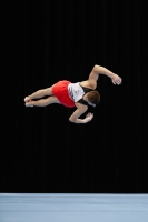 Thumbnail - Eliah Beckenbach - Artistic Gymnastics - 2019 - Austrian Future Cup - Participants - Germany 02036_16320.jpg