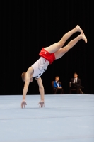 Thumbnail - Eliah Beckenbach - Artistic Gymnastics - 2019 - Austrian Future Cup - Participants - Germany 02036_16327.jpg