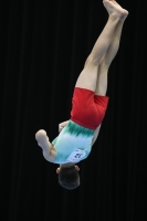 Thumbnail - Bulgaria - Gymnastique Artistique - 2019 - Austrian Future Cup - Participants 02036_16586.jpg