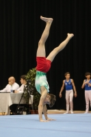 Thumbnail - Bulgaria - Gymnastique Artistique - 2019 - Austrian Future Cup - Participants 02036_16603.jpg