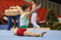 Thumbnail - Bulgaria - Gymnastique Artistique - 2019 - Austrian Future Cup - Participants 02036_16614.jpg