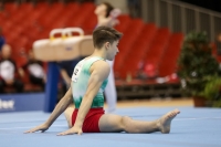 Thumbnail - Bulgaria - Gymnastique Artistique - 2019 - Austrian Future Cup - Participants 02036_16615.jpg