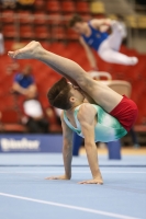 Thumbnail - Alegzandar Metodiev - Спортивная гимнастика - 2019 - Austrian Future Cup - Participants - Bulgaria 02036_16622.jpg