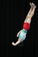 Thumbnail - Alegzandar Metodiev - Gymnastique Artistique - 2019 - Austrian Future Cup - Participants - Bulgaria 02036_16627.jpg