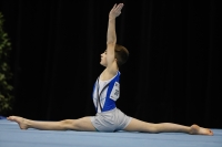 Thumbnail - Thomas Tittley - Artistic Gymnastics - 2019 - Austrian Future Cup - Participants - Canada 02036_16749.jpg