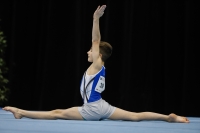 Thumbnail - Thomas Tittley - Artistic Gymnastics - 2019 - Austrian Future Cup - Participants - Canada 02036_16750.jpg